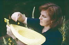 Harvest in LUNASOL´s garden – it takes time...